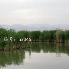 ļ